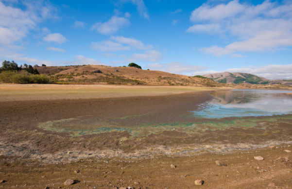 A sandy beach with water and hills in the background