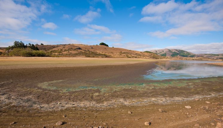 A sandy beach with water and hills in the background