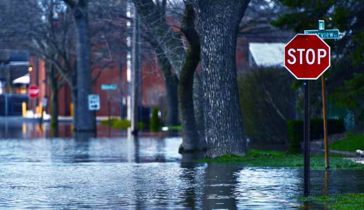 Stop sign atop of a flood street with trees in the background.