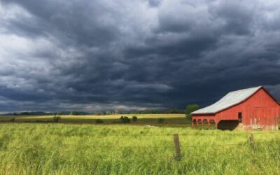 Farm Bill Authorization