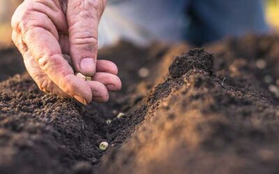 Congress Introduces Bicameral Legislation to Improve Access to Agricultural Disaster Relief