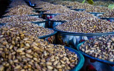 USDA Announces More than $2 Billion to Strengthen Specialty Crops Sector, Expand Crop Storage for Producers Following 2024 Natural Disasters
