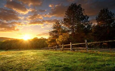 EPA Announces Members to the Farm, Ranch and Rural Communities Advisory Committee