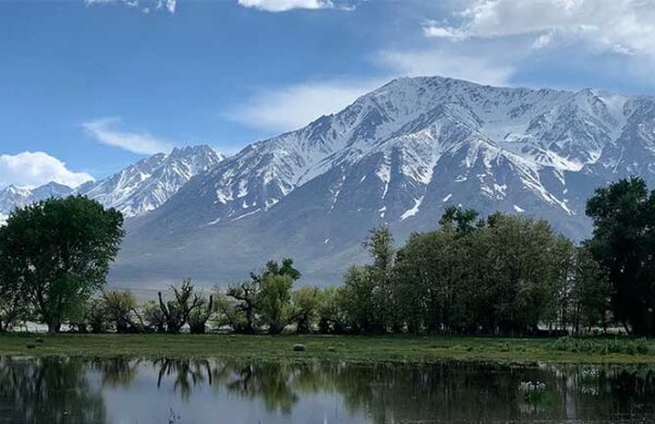 mountain in the backdrop behind lake lined with trees