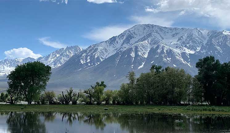 mountain in the backdrop behind lake lined with trees