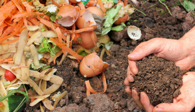 Hands in dirt with egg shells and other food scraps next to it,