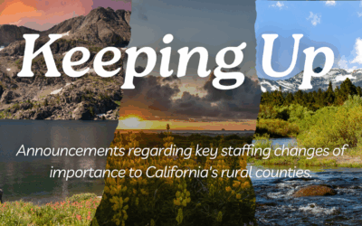 Keeping Up – The Barbed Wire – September 26, 2025
