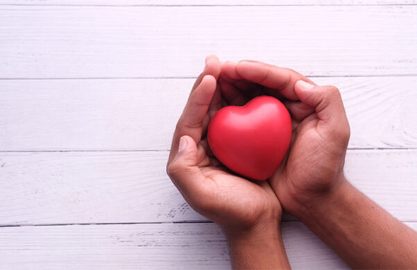 Cupped hands holding a red foam heart