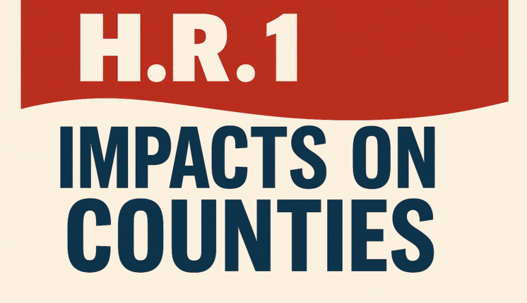 large lettering against an orange and cream background.