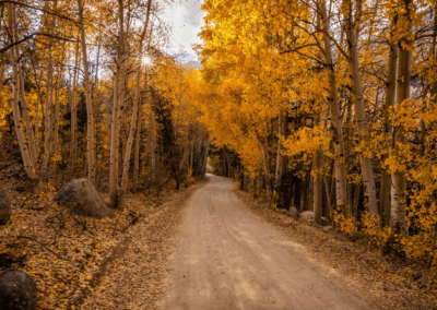 2019 Photo Contest Winner - Fares Alti - Inyo County