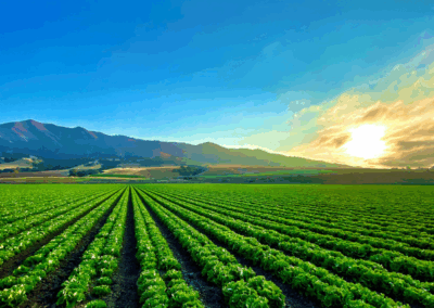 2021 Photo Contest Winner - Ramiro Ruiz - Monterey County