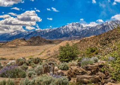 2022 Photo Contest Winner - Jay Coberly - Inyo County