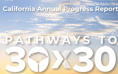 State Releases Annual 30×30 Progress Report