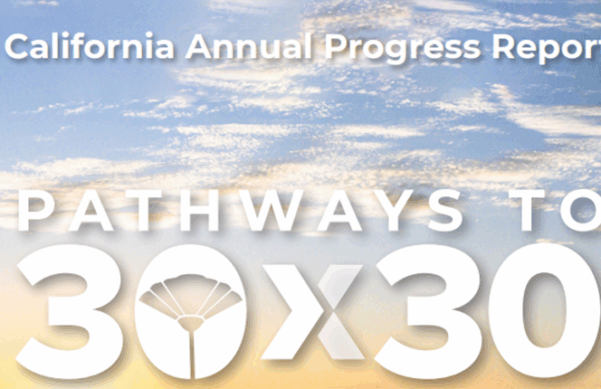 Report Cover of CA 30 by 30 report of 2025