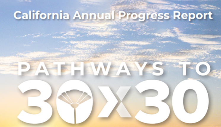 Report Cover of CA 30 by 30 report of 2025