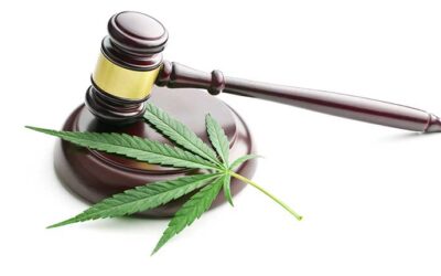 Bill of the Week: Assembly Bill 632 (Hart) – Local Ordinances: Administrative Fines or Penalties