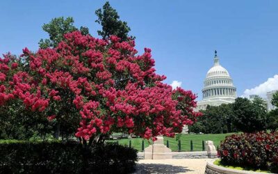 House Votes to Overturn California-Specific Environmental Waivers and Rules