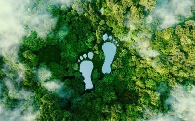 Draft Environmental Impact Report Now Available for GSNR’s Forest Resiliency Project