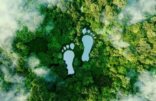 footprints in forest from ten thousand foot view