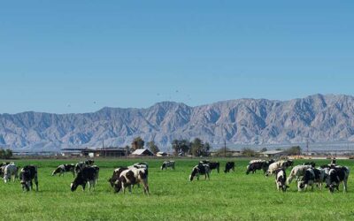  Bipartisan Bill Introduced to Promote Wildfire Mitigation Through Wildlife Grazing