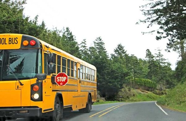 School bus stopped on road in wooded area