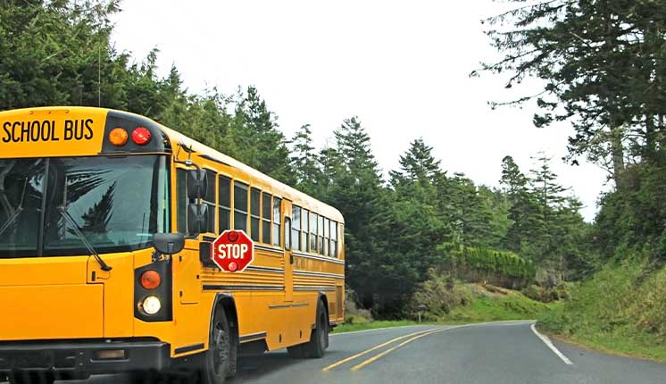 School bus stopped on road in wooded area
