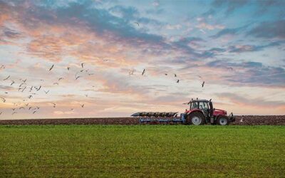 U.S. Senators Ask USDA to Reverse Canceled Local Food Purchases for Schools, Farmers 