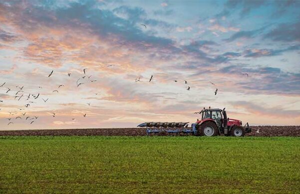 tractor tilling a field with green lawn in the foreground and the sunrise and birds in the background