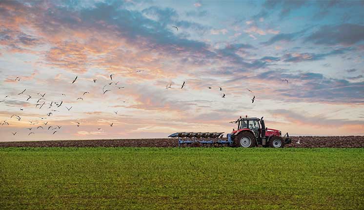 tractor tilling a field with green lawn in the foreground and the sunrise and birds in the background