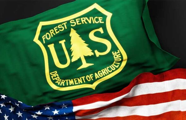 USDA Forest Service logo on green bag sits on top of American flag