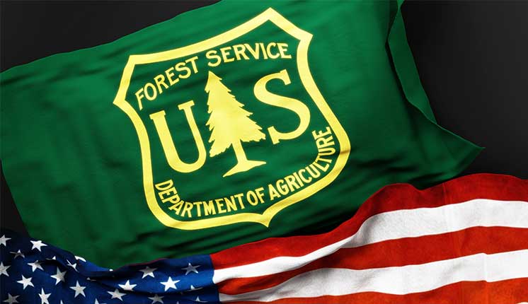 USDA Forest Service logo on green bag sits on top of American flag