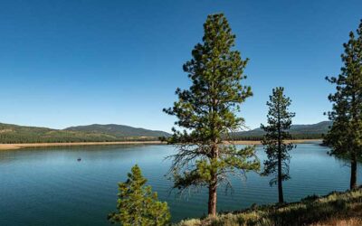 U.S. Representatives Jim Costa and Adam Gray Urge Presidential and Gubernatorial Cooperation on Central Valley and State Water Projects