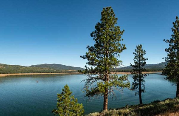 lake with trees and hills on the shoreline