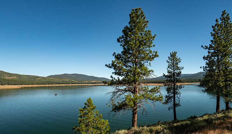 lake with trees and hills on the shoreline