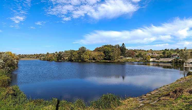 lake surrounded by trees and foliage