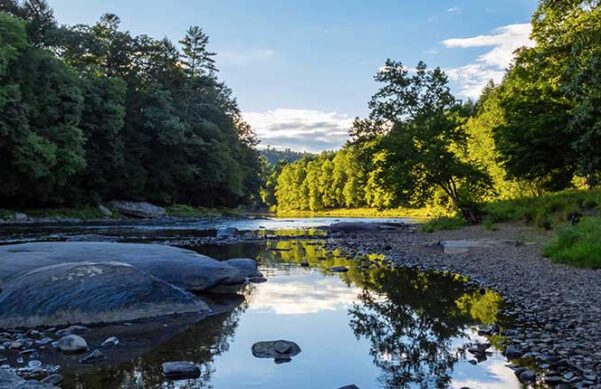 water with reflective surface and with trees in the background