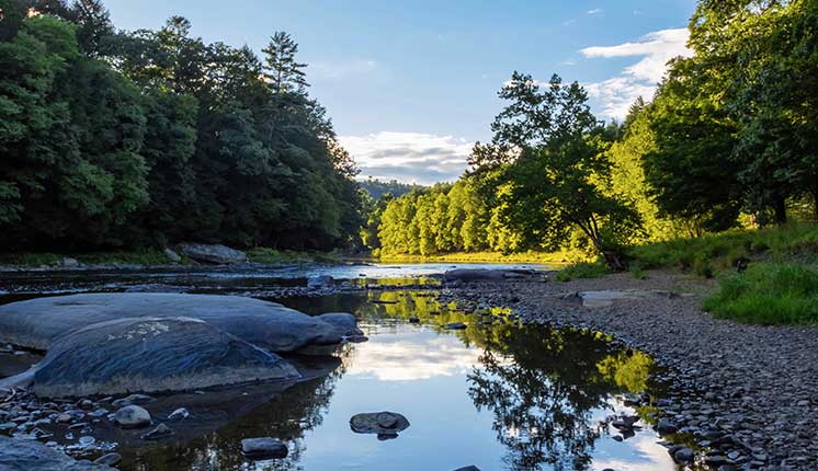 water with reflective surface and with trees in the background