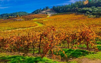The AB 32 Scoping Plan