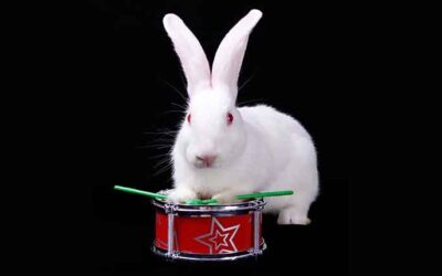 Like the Energizer Bunny, the Legislature Keeps Going and Going and Going…