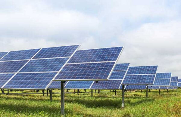 rows of solar panels on green grass