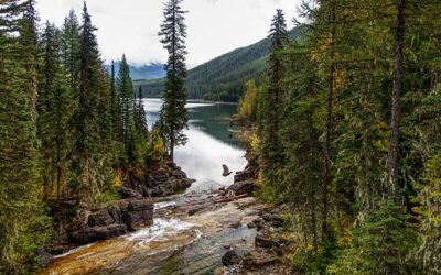 Padilla, Schiff Announce Bipartisan Bills to Support Over 2,000 Acres of Tribal Land Management
