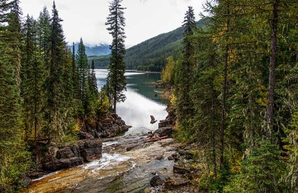 trees surrounding rocks with running water, emptying into a lake.