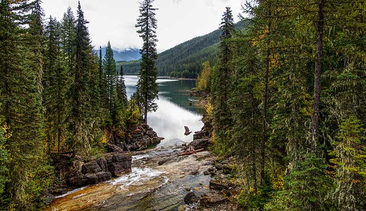 trees surrounding rocks with running water, emptying into a lake.
