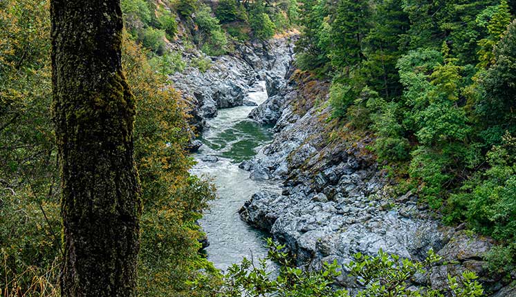 river in canyon surrounded by forested area