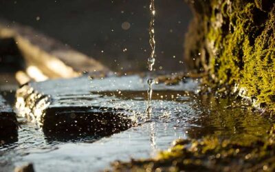 EPA Reinforces Alignment of Clean Water Act Section 401 with “Powering the Great American Comeback” Initiative
