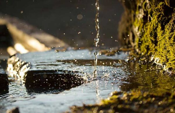 stream with a trickle of water falling from above