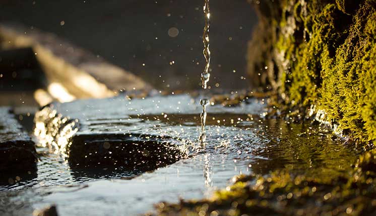 stream with a trickle of water falling from above