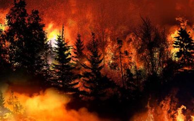 Congressmember Vince Fong Introduces Bipartisan Legislation to Help Fight Wildfires