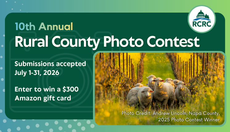 green background, white lettering, photo of sheep on grass