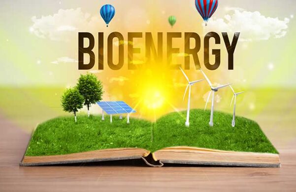 open book on table with trees, solar panels, and windmills sprouting from grass on open pages, hot air balloons hovering above the word BioEnergy